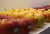 South Tyrol top fruit enjoys record crop