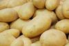 early potatoes