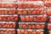 Tomatoes in unbranded clear plastic punnets