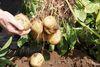PepsiCo makes farming commitment