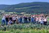 NL Greenery grower trip Telersreis