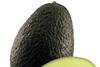 Hass avocado