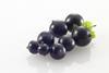 Blackcurrants offer sports recovery