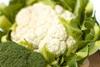 Mechelse Veilingen veg landscape
