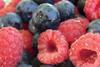 RSA berries raspberries blueberries