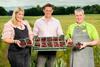 Cherries from Marshall Farms are available in around 160 Asda stores this summer
