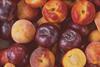 South African stonefruit