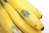 Del Monte bananas Costa Rica MUST CREDIT Mark Markau - Adobe Stock