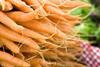 Huge increase in UK veg self-sufficiency urged