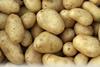 Comber Early Potatoes