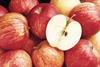 MIxed bag for southern hemisphere apples
