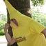 Fruity Friday to top last year's fundraising total