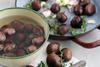 Chestnuts