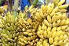 India banana