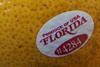 US Florida grapefruit