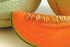 cantaloupe