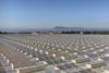 haisheng_greenhouse