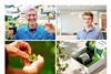 Plant and Food KiwiNet finalists