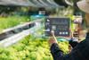 AI agriculture Adobe Stock