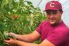 Fruitery