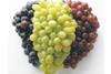chilean grapes