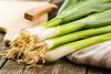 Spring onions