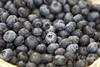 Blaubeeren_FL_2012__4__01.jpg