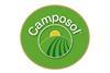 Camposol web sponsor