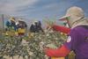 The funding will enable Agrovision to expand its blueberry operation