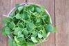 The research could lead to a major new avenue for watercress