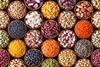 Legumes may help future-proof farms