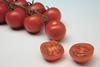 HM Clause Genio cherry tomato