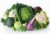 diverser Kohl-exclusive_design_ AdobeStock_76465407