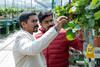 HortiRoad2India
