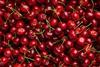 GEN Cherries AdobeStock