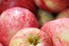 'Don't snack on fruit' dental experts warn