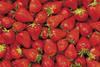 Stawberries