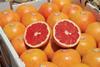 AU Australia Rewards red fleshed grapefruit