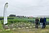 Tozer field trials