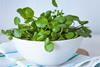The research could lead to a major new avenue for watercress