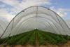 Polytunnel document details hard facts