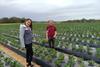 (l-r) Levity Crop Science's Anna Weston and David Marks visit ASD Strawberries in Western Australia