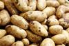 Kartoffeln mit Erde