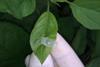 1160264_Foto-4-(LRC)