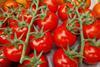 Tomaten
