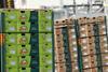 Zespri boxes