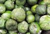 Tomatillos