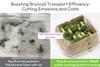 StePacPPC green packaging boosts broccoli transport efficiency