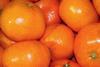 Peru tangerines