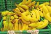 Ecuador bananas